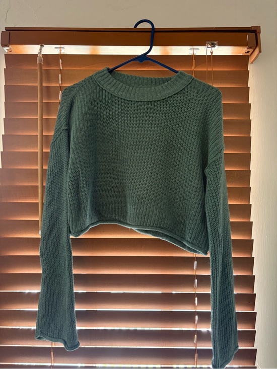 wild fable Sweaters - wild fable Cropped Crewneck Sweater in Forest Green